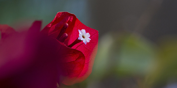 Thumb big a w0015 000544 cl lr