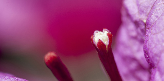 Thumb big a w0198 000316 cl lr